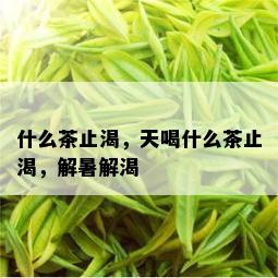 什么茶止渴，天喝什么茶止渴，解暑解渴