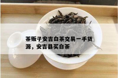 茶贩子安吉白茶交易一手货源，安吉县买白茶