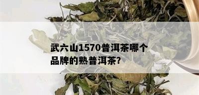 武六山1570普洱茶哪个品牌的熟普洱茶？