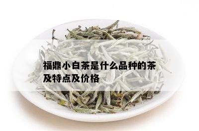 福鼎小白茶是什么品种的茶及特点及价格