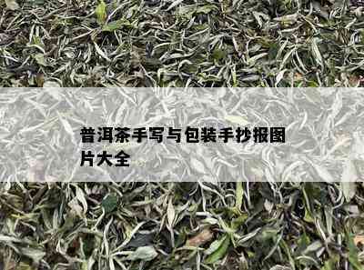 普洱茶手写与包装手抄报图片大全