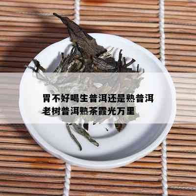 胃不好喝生普洱还是熟普洱老树普洱熟茶霞光万里