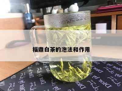 福鼎白茶的泡法和作用