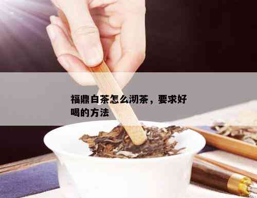 福鼎白茶怎么沏茶，要求好喝的方法