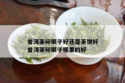 普洱茶碎银子好还是茶饼好普洱茶碎银子哪里的好