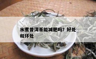 水煮普洱茶能减肥吗？好处和坏处