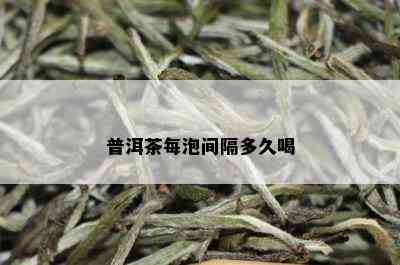 普洱茶每泡间隔多久喝