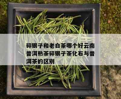 碎银子和老白茶哪个好云南普洱熟茶碎银子茶化石与普洱茶的区别