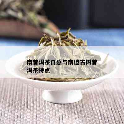 南普洱茶口感与南迫古树普洱茶特点