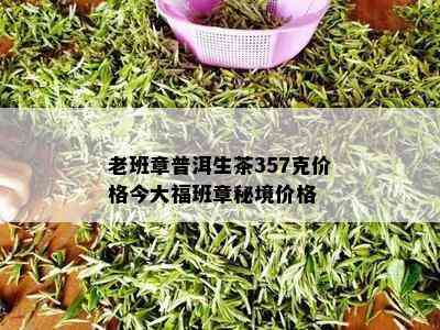 老班章普洱生茶357克价格今大福班章秘境价格