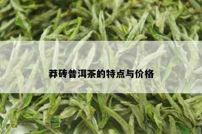 莽砖普洱茶的特点与价格