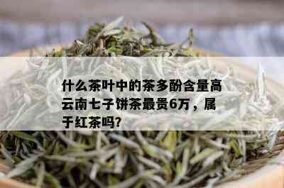 什么茶叶中的茶多酚含量高云南七子饼茶最贵6万，属于红茶吗？