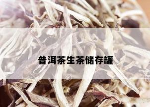 普洱茶生茶储存罐