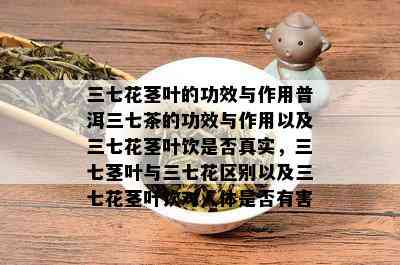 三七花茎叶的功效与作用普洱三七茶的功效与作用以及三七花茎叶饮是否真实，三七茎叶与三七花区别以及三七花茎叶饮对人体是否有害