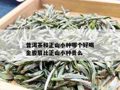 普洱茶和正山小种哪个好喝金骏眉比正山小种贵么