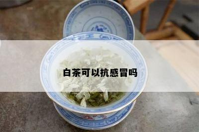 白茶可以抗感冒吗