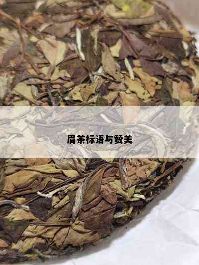 眉茶标语与赞美