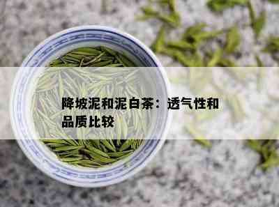 降坡泥和泥白茶：透气性和品质比较