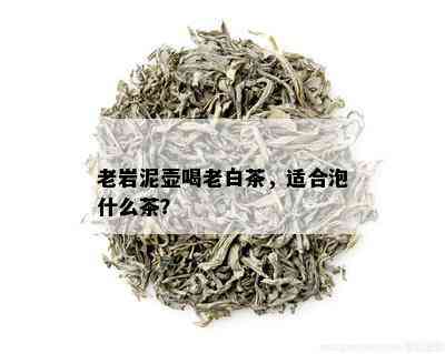 老岩泥壶喝老白茶，适合泡什么茶？