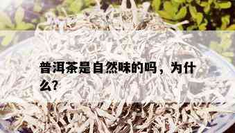 普洱茶是自然味的吗，为什么？