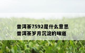 普洱茶7592是什么意思普洱茶岁月沉淀的味道