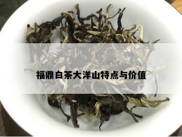 福鼎白茶大洋山特点与价值