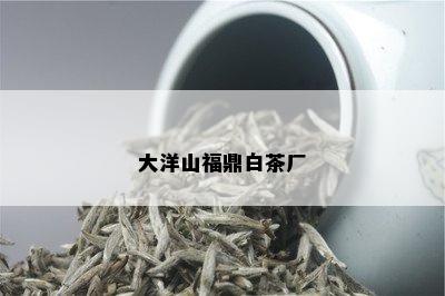 大洋山福鼎白茶厂