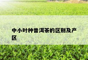 中小叶种普洱茶的区别及产区