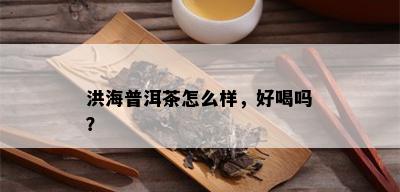 洪海普洱茶怎么样，好喝吗？