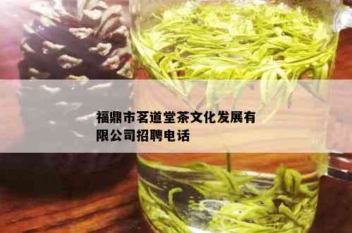 福鼎市茗道堂茶文化发展有限公司招聘电话