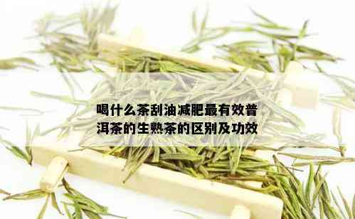 喝什么茶刮油减肥最有效普洱茶的生熟茶的区别及功效