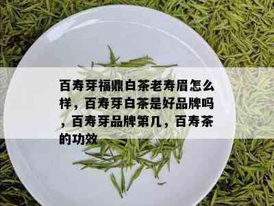 百寿芽福鼎白茶老寿眉怎么样，百寿芽白茶是好品牌吗，百寿芽品牌第几，百寿茶的功效