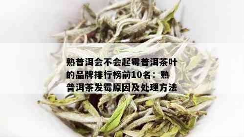 熟普洱会不会起霉普洱茶叶的品牌排行榜前10名：熟普洱茶发霉原因及处理方法