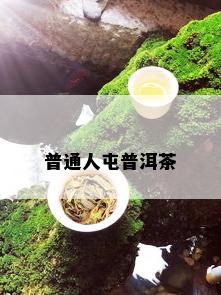 普通人屯普洱茶