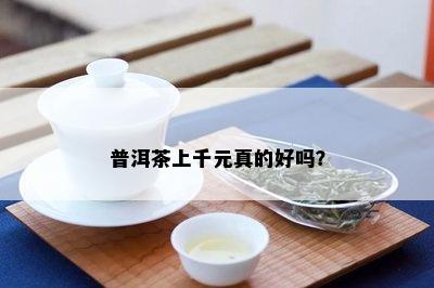 普洱茶上千元真的好吗？