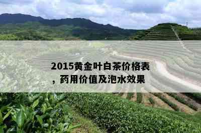 2015黄金叶白茶价格表，用价值及泡水效果