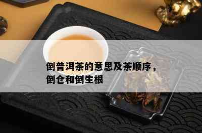 倒普洱茶的意思及茶顺序，倒仓和倒生根