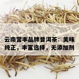 云南营丰品牌普洱茶：美味纯正，丰富选择，无添加剂