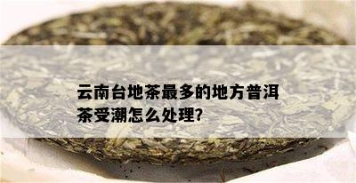 云南台地茶最多的地方普洱茶受潮怎么处理？