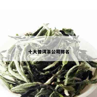 十大普洱茶公司排名