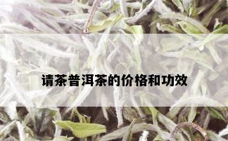 请茶普洱茶的价格和功效