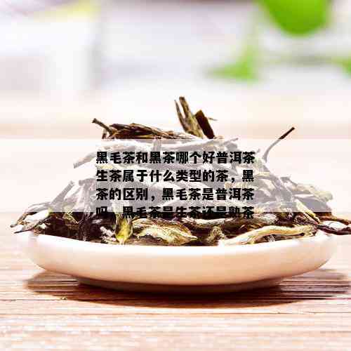 黑毛茶和黑茶哪个好普洱茶生茶属于什么类型的茶，黑茶的区别，黑毛茶是普洱茶吗，黑毛茶是生茶还是熟茶