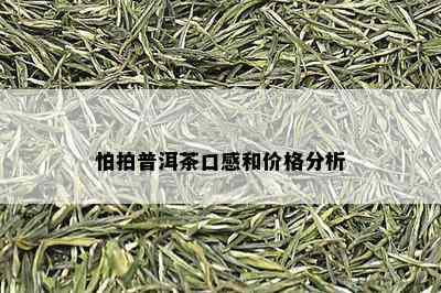 怕拍普洱茶口感和价格分析