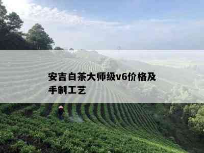 安吉白茶大师级v6价格及手制工艺