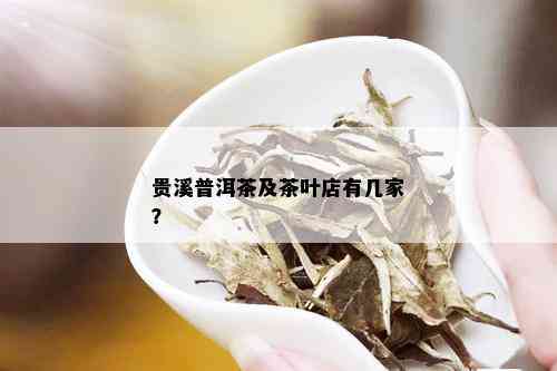 贵溪普洱茶及茶叶店有几家？