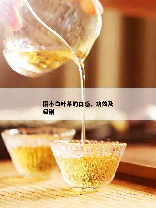 眉小白叶茶的口感、功效及级别