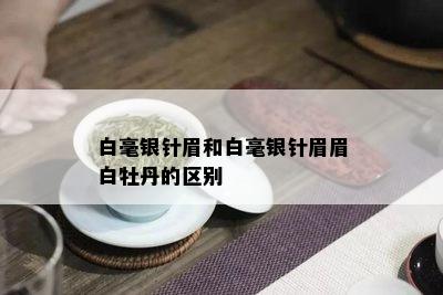 白毫银针眉和白毫银针眉眉白牡丹的区别