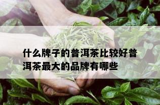 什么牌子的普洱茶比较好普洱茶更大的品牌有哪些