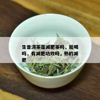 生普洱茶是减肥茶吗，能喝吗，有减肥功效吗，熟的减肥