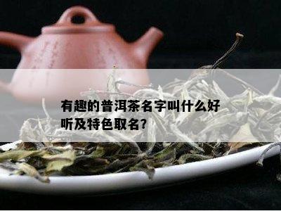 有趣的普洱茶名字叫什么好听及特色取名？